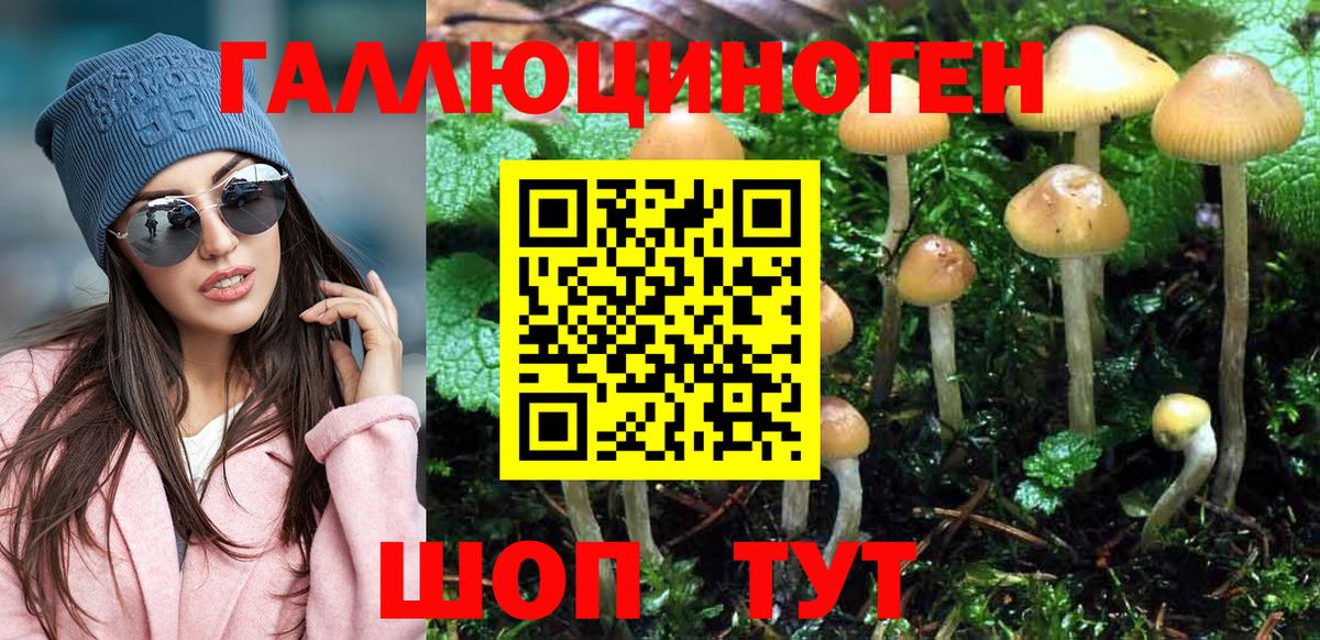 Киров  Псилоцибиновые грибы мицелий  дарнет шоп  Псилоцибиновые грибы MAGIC MUSHROOMS  Вход с VPN 